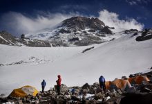 Fantasia Painting116