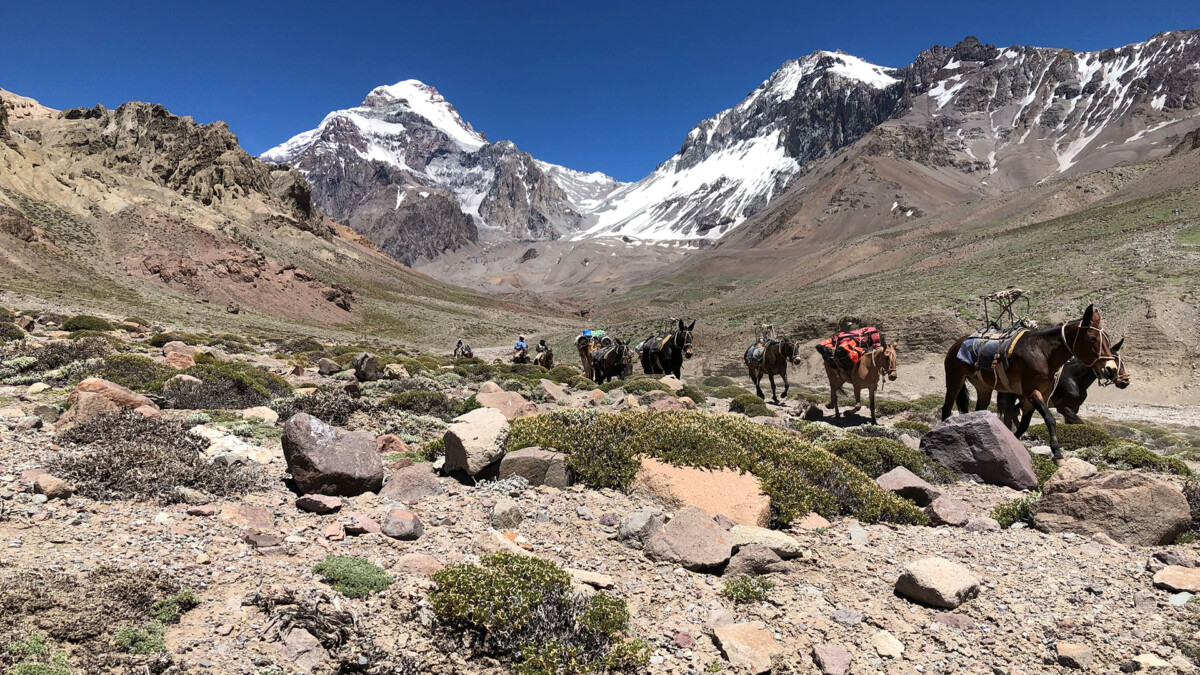 nevado juncal header