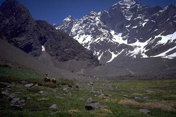 nevada juncal basecamp